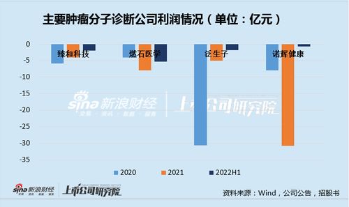臻和科技IPO之路 三年虧損、同質(zhì)化競(jìng)爭(zhēng)與高企銷售費(fèi)用下的生存挑戰(zhàn)